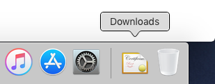 The downloaded certificate